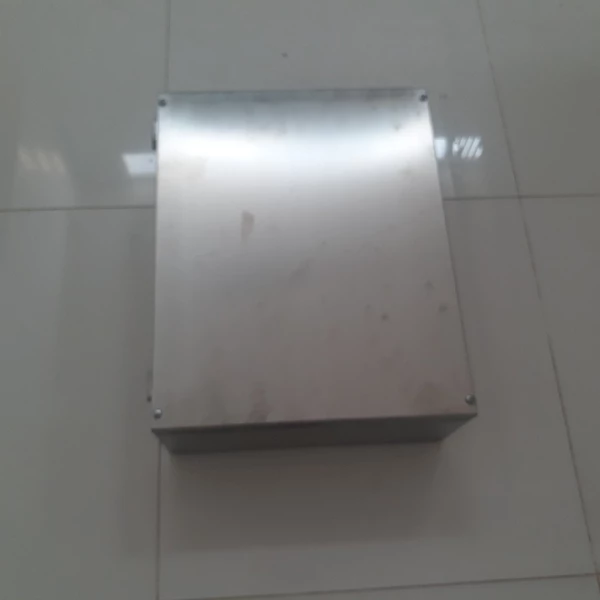 Exe Junction Box Stainless Steel SS316 PEPPEPL+FUCHS model: FXLS6**D size: 480x480x215mm