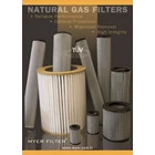 Catridge Gas Filter for Natural Gas brand MYER size G2 2