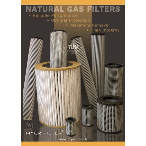 Catridge Gas Filter for Natural Gas brand MYER size G2