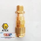 Exd Flameproof Cable Gland HAWKE 501/453/RAC/O/M20 size M20 SWA armor Brass Nickel Plated 2