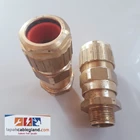 Exd Flameproof Cable Gland HAWKE 501/453/RAC/B/M25 size M25 SWA armor Brass 2
