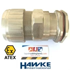 Exd Flameproof Cable Gland HAWKE 501/453/RAC/C2/M40 size M40 SWA armor Brass Nickel Plated  1
