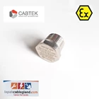 Exproof Hex Stopping Plug size M20 CABTEK HSP M20 c/w locknut & washer cmp hawke 2