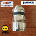 Exd Flameproof Cable Gland HAWKE 501/453/UNIV/C2/M40 size M40 SWA armor Brass Nickel Plated  1